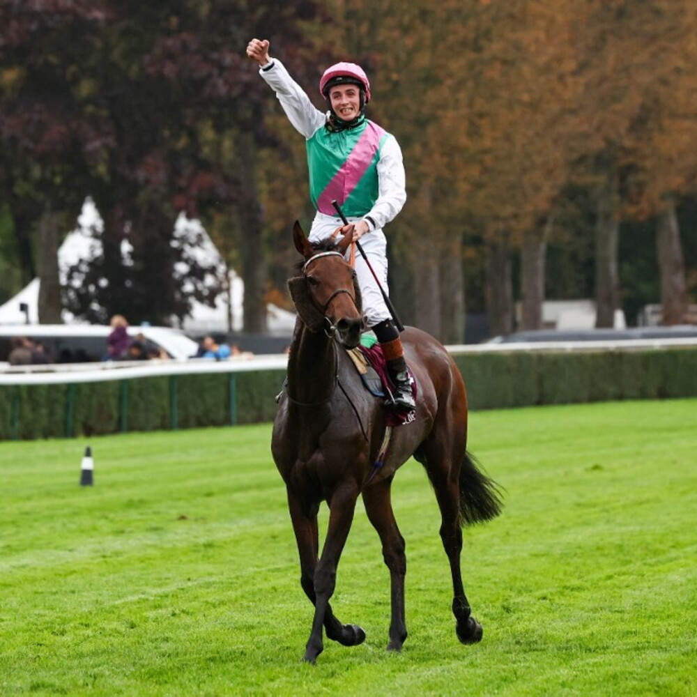 Bluestocking trionfa al Prix de l'Arc de Triomphe e diventa campionessa mondiale di galoppo