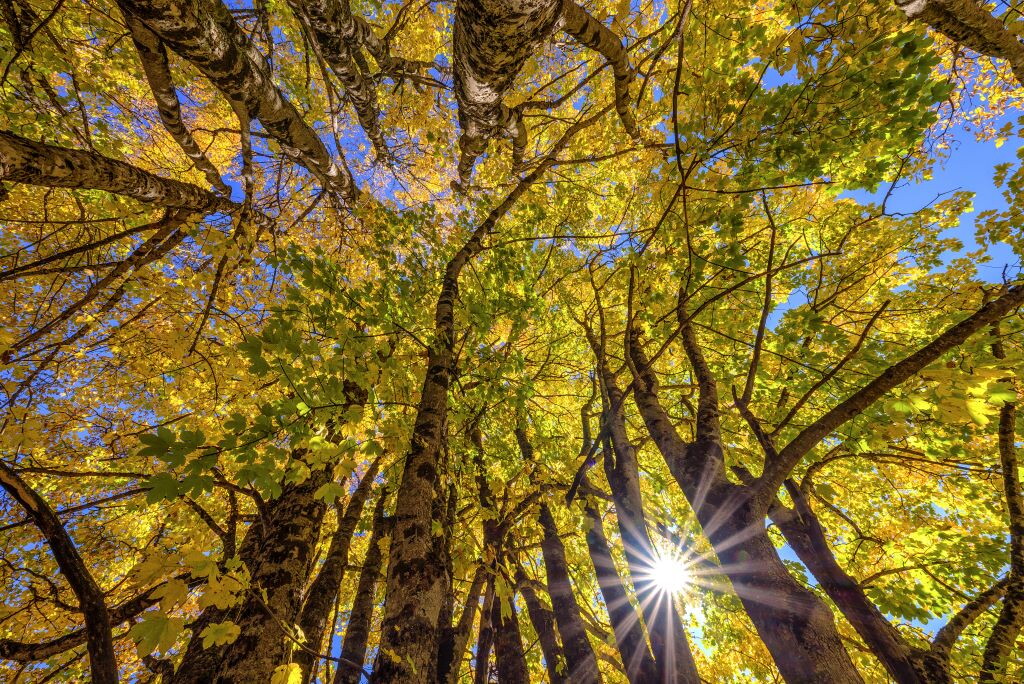 Ottobre inizia con temperature in aumento e bel tempo su tutta Italia