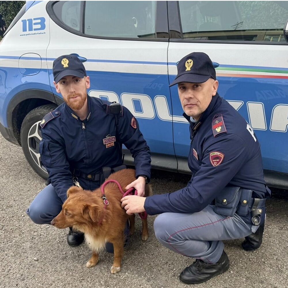 Cane salvato in galleria a Benevento: poliziotti intervenuti per la sua sicurezza