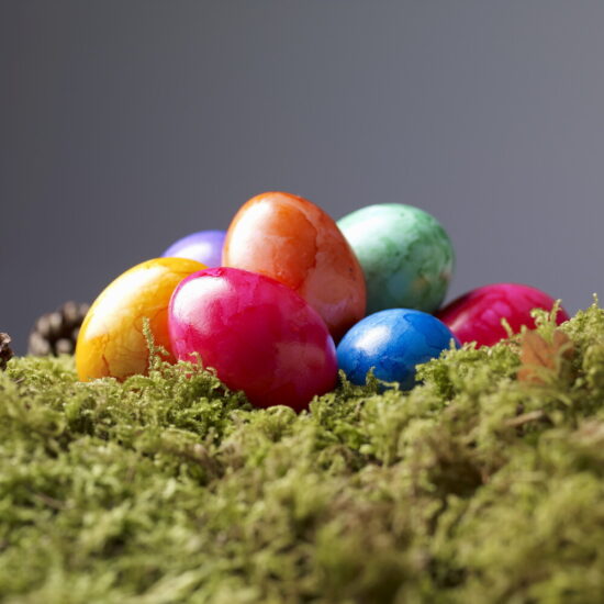Uova di Pasqua e messaggi social: come festeggiano i politici italiani