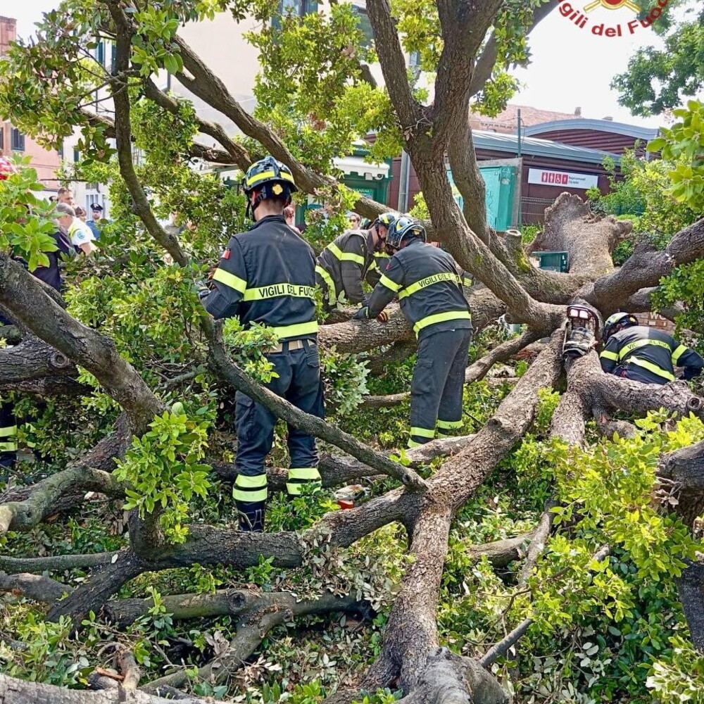 Albero cade a Piazzale Roma a Venezia: 10 feriti tra cui 2 gravi, vigili del fuoco e 118 sul posto