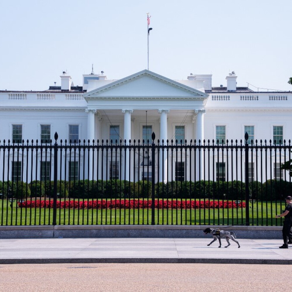 Privacy vs sicurezza negli USA: il dilemma MAGA e il database nazionale di Palantir