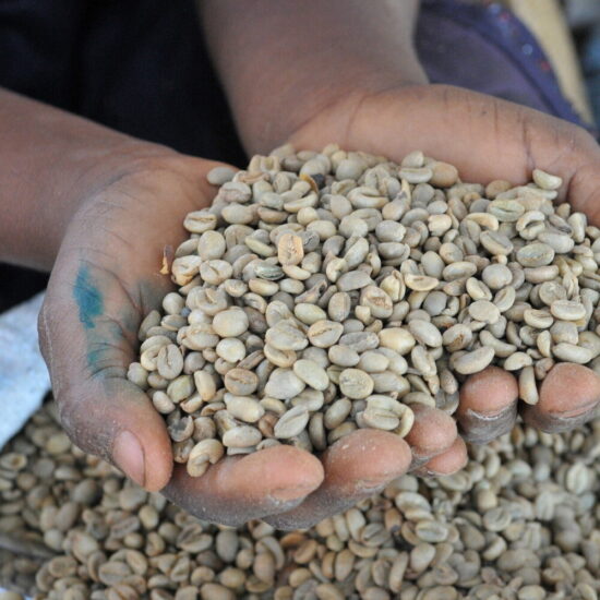 Vertice ONU sul cibo in Etiopia co-presieduto dall’Italia per obiettivo Fame Zero Agenda 2030