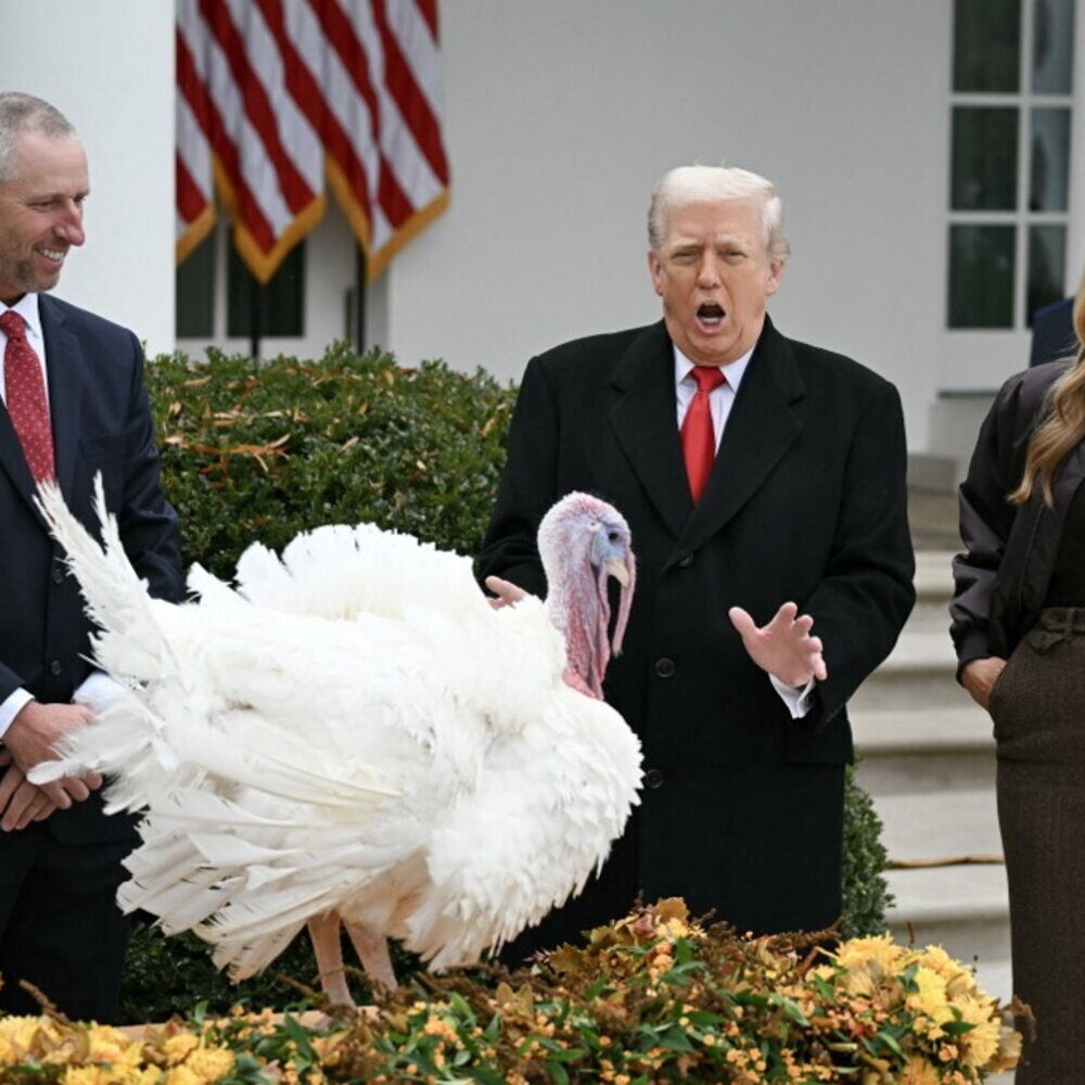 Tradizione del Ringraziamento Trump grazia i tacchini Waddle e Gobble