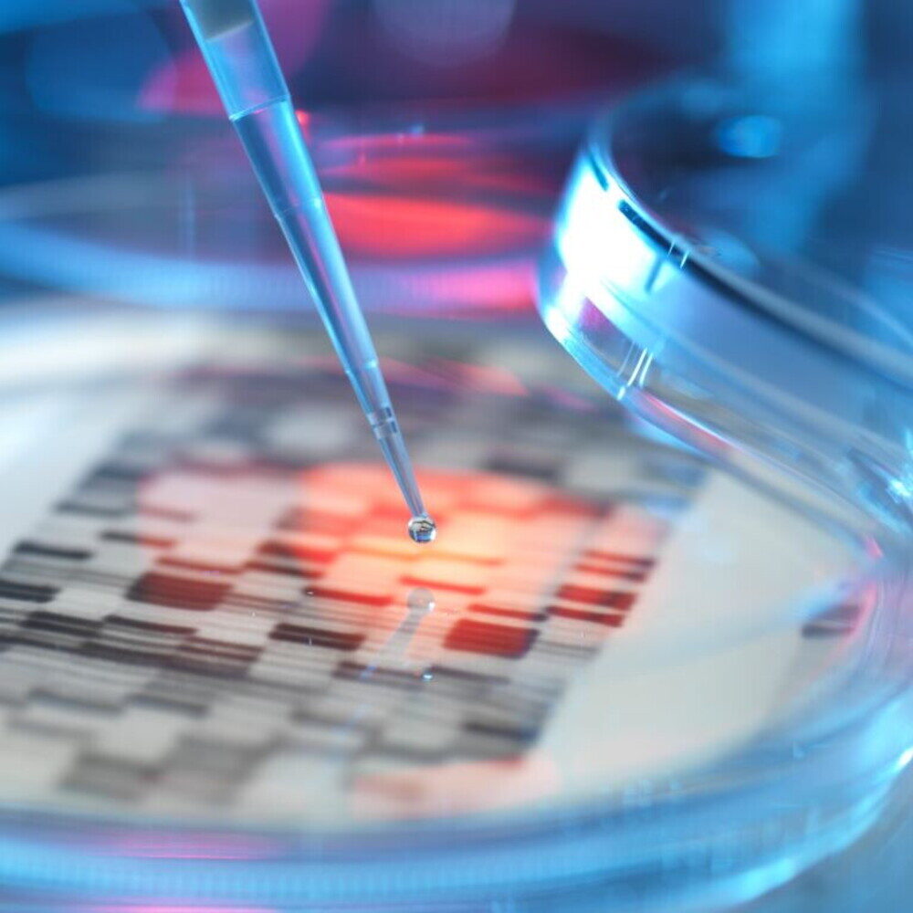 Garlasco: compatibilità DNA Y in 12 marcatori su 16 spiegata